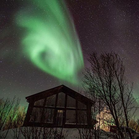 Aurora View Cabin Lyngseidet Exteriör bild