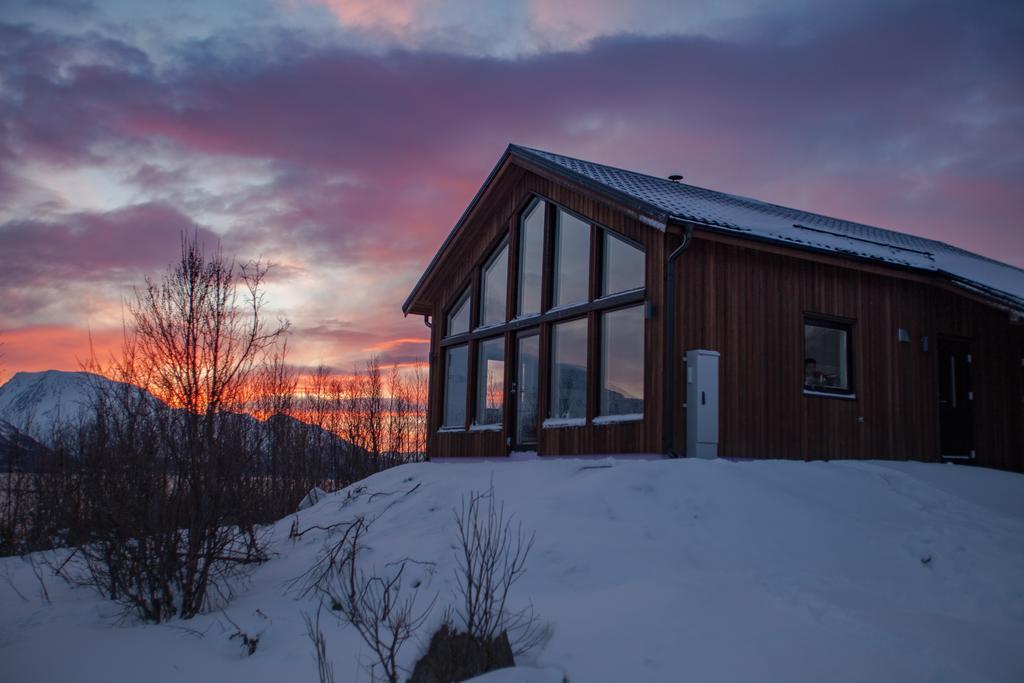 Aurora View Cabin Lyngseidet Exteriör bild