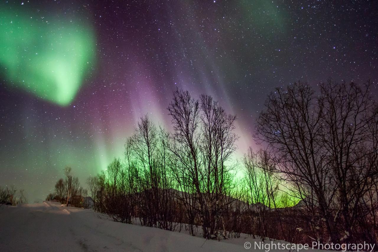 Aurora View Cabin Lyngseidet Exteriör bild